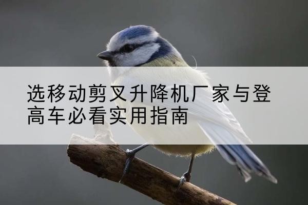 观山湖电动升降机厂家-选移动剪叉升降机厂家与登高车必看实用指南