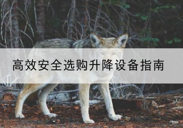 观山湖升降货梯厂家推荐-*安全选购升降设备指南