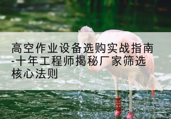 观山湖剪叉式升降机厂家-高空作业设备选购实战指南-十年工程师揭秘厂家筛选核心法则